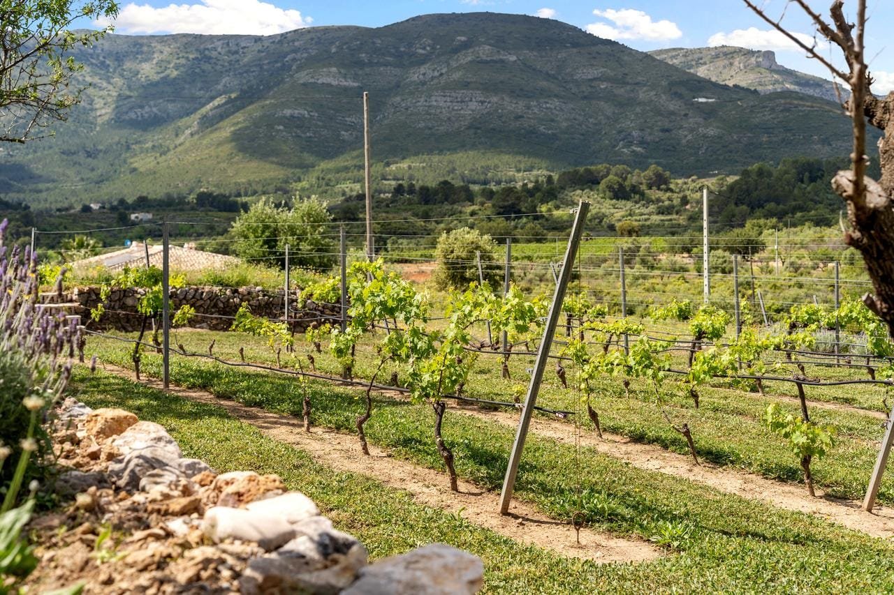 Finca op Verkoop op Murla