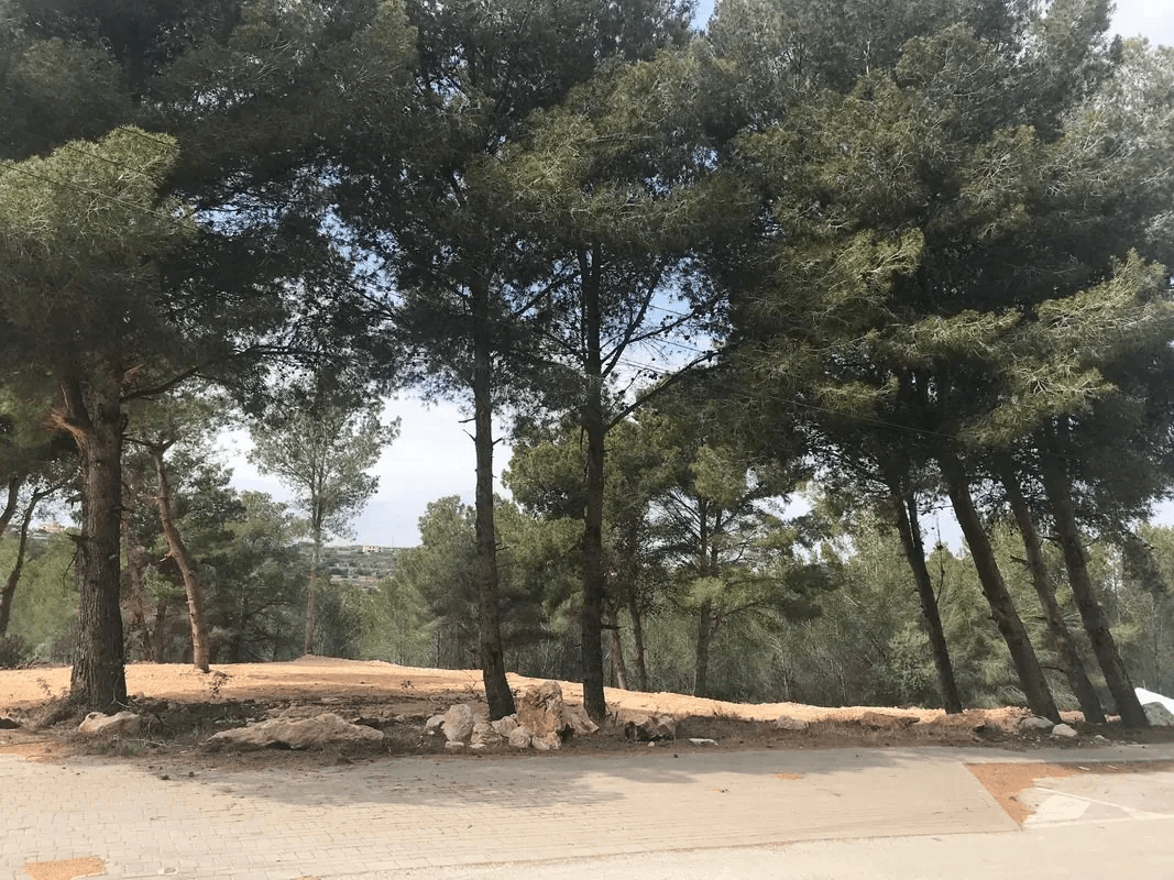 Parcelle platte en vente à Moraira