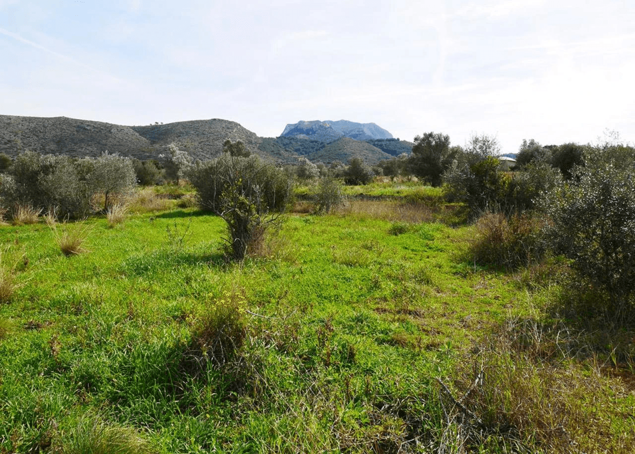 Plot sur Vente sur La Sella Golf Resort