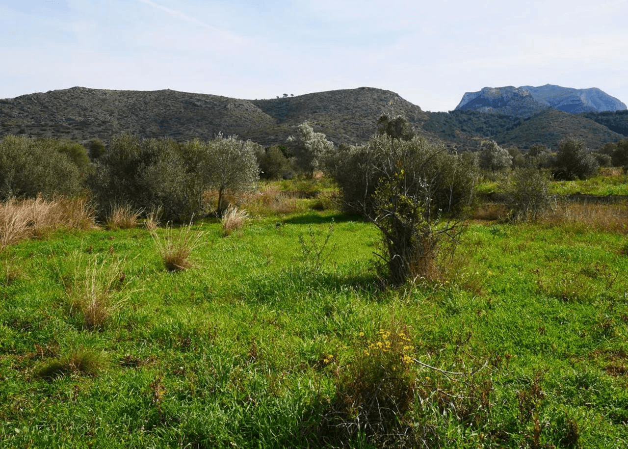 Plot sur Vente sur La Sella Golf Resort