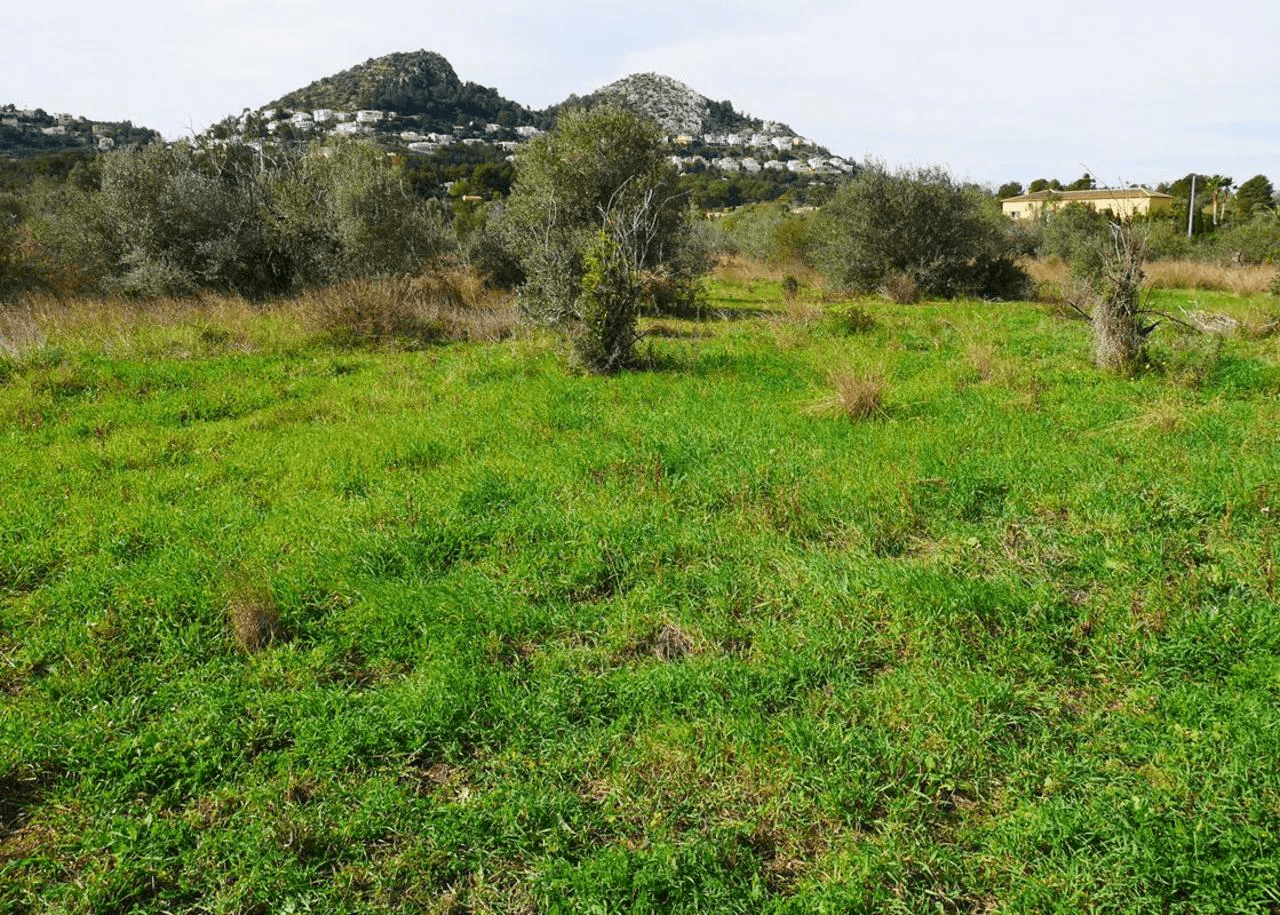 Plot sur Vente sur La Sella Golf Resort