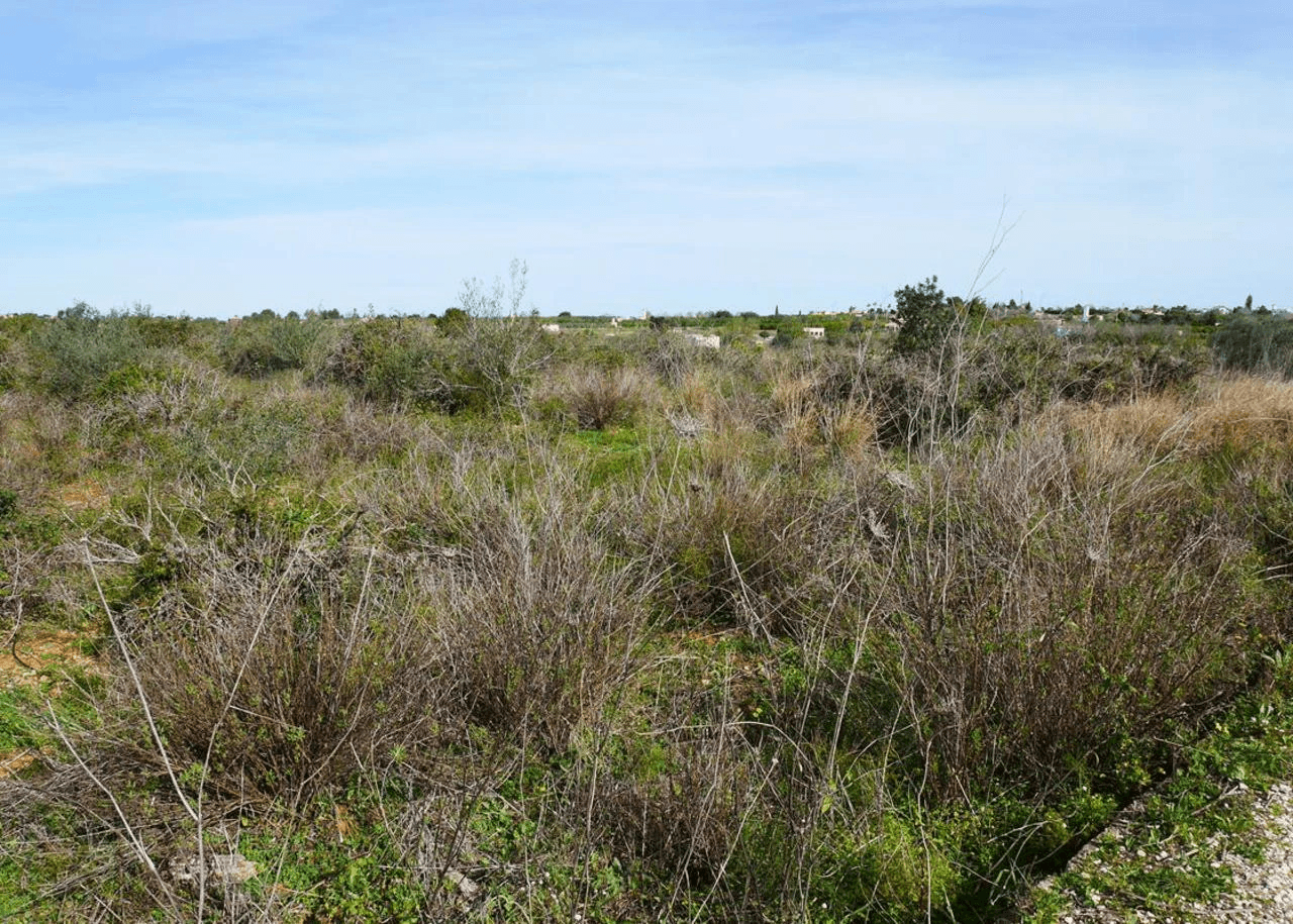 Plot sur Vente sur La Sella Golf Resort
