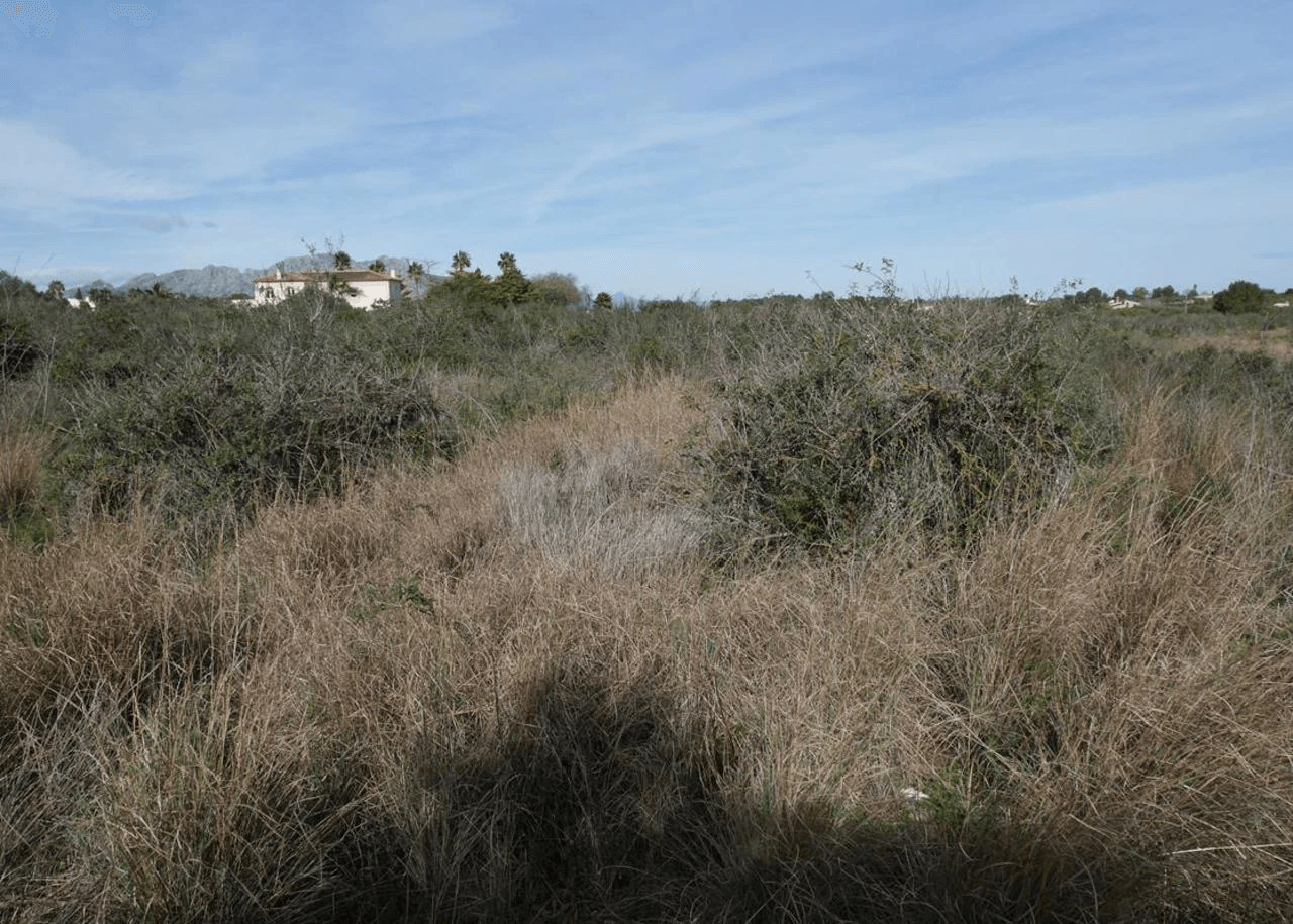 Plot sur Vente sur La Sella Golf Resort