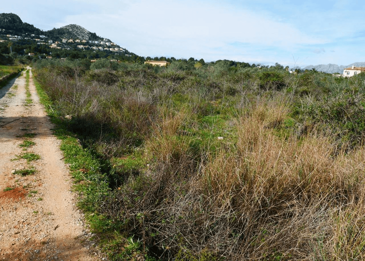 Plot sur Vente sur La Sella Golf Resort