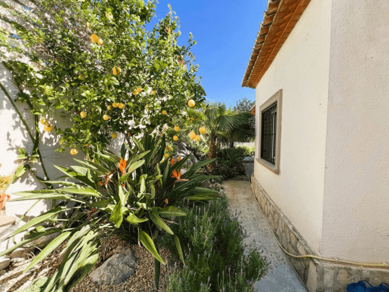 Prachtige villa met 3 slaapkamers, omgeven door de natuur en met uitzicht op bergen, te koop in Tormos, Orba Valley, Costa Blanca.